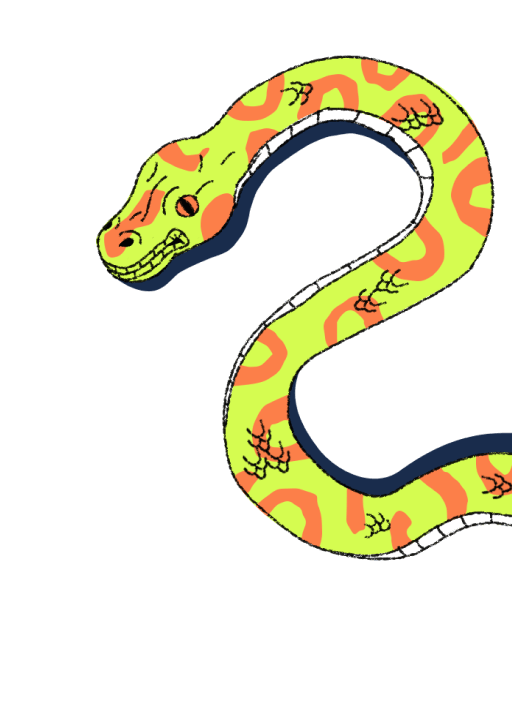 b-python-snake-2