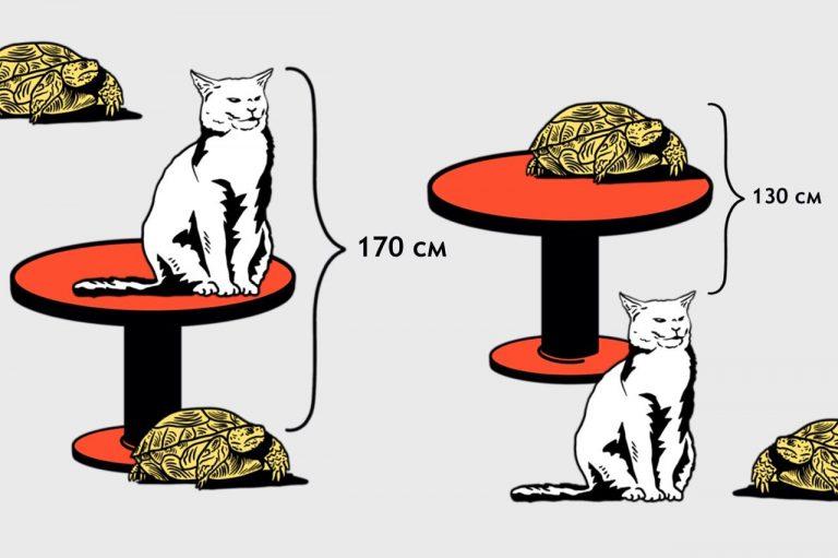 Какой высоты стол? Журнал «Код» программирование без