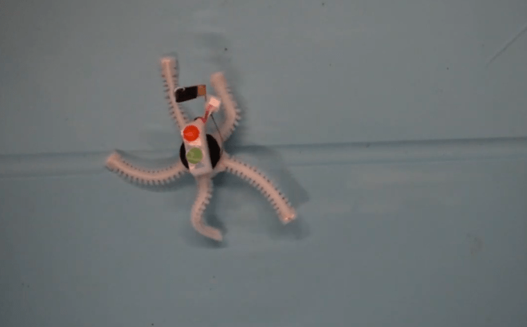 Знакомьтесь: Патрик, подводный робот-звезда