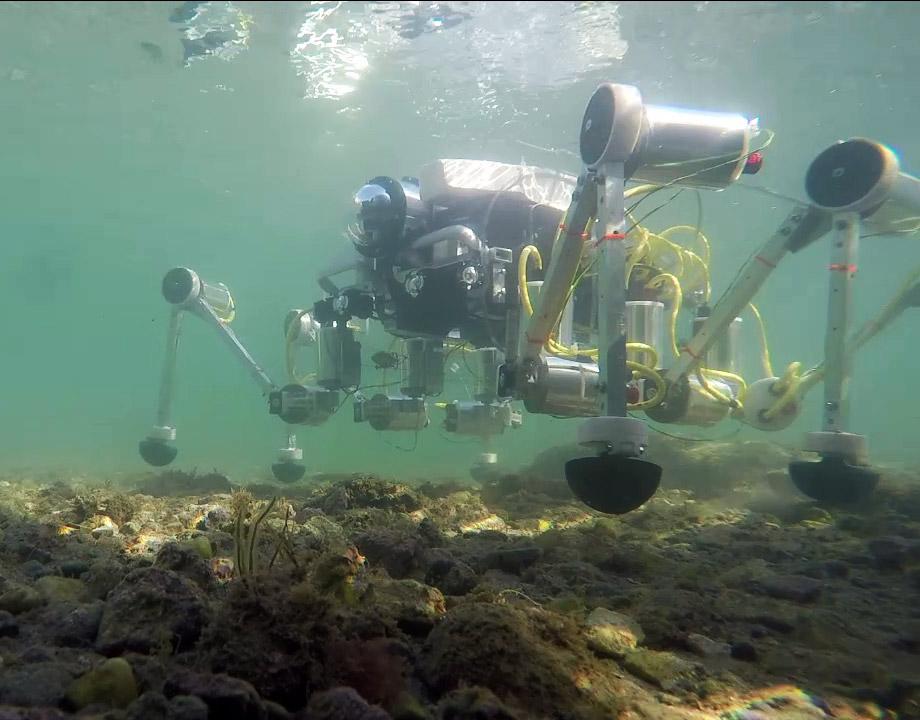Изобрели: шестиногого робота, который может ходить и прыгать по морскому дну