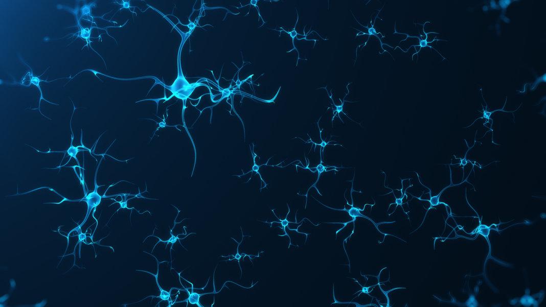 Изобрели: новый способ работы искусственных нейросетей с живыми
