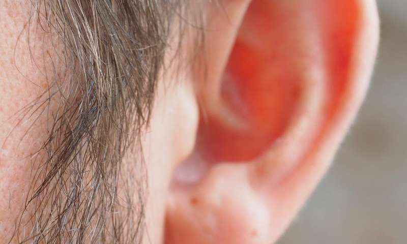 Учёные придумали распознавание по отпечатку уха