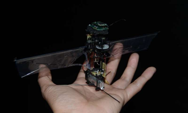 Придумали летающего робота, который косит под гигантского жука
