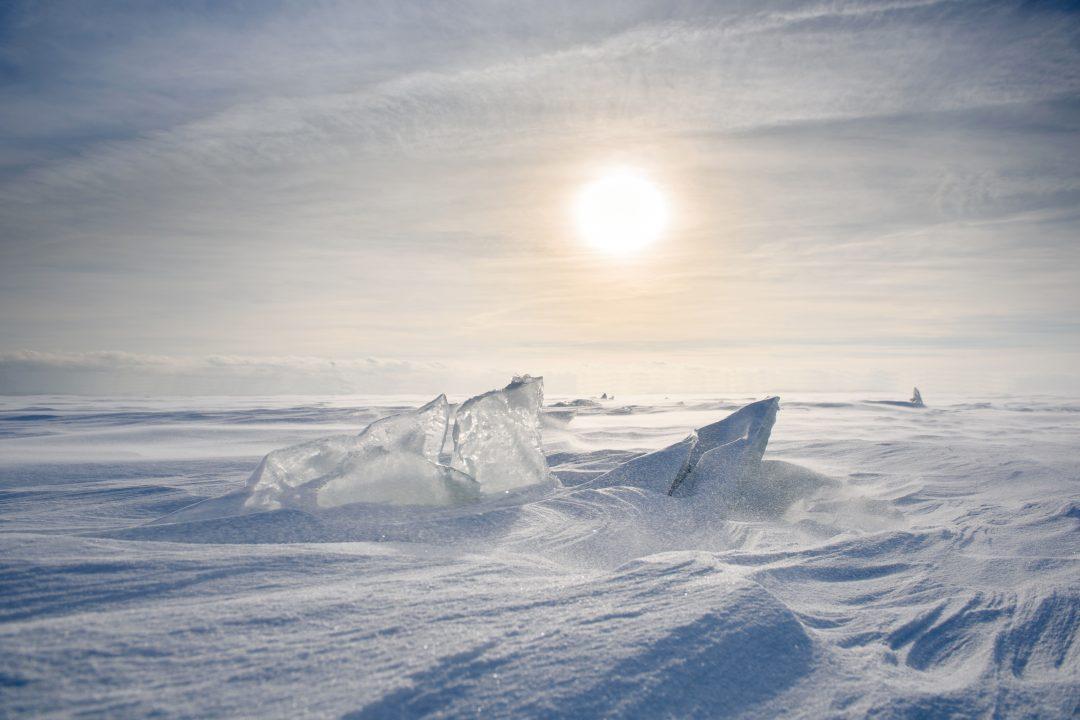 GitHub оставят на Северном полюсе архив данных на случай апокалипсиса