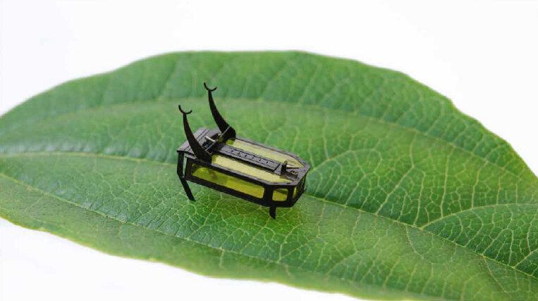 Инженеры создали робота-жука, запитанного алкоголем