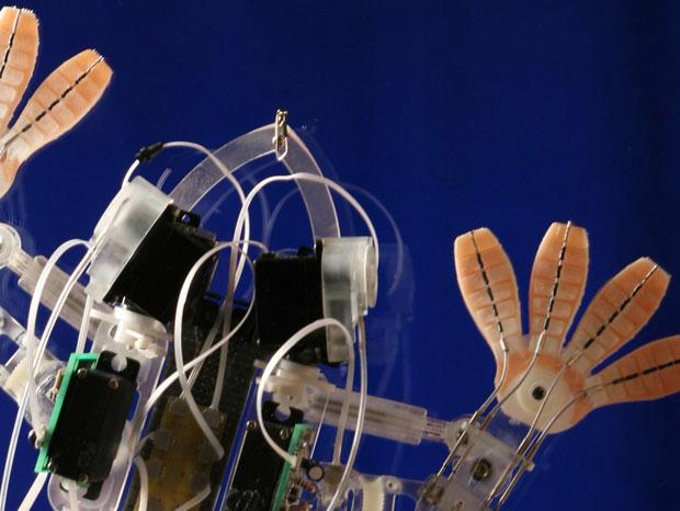 Посмотрите: робот, который ползает по стеклам с помощью мёда