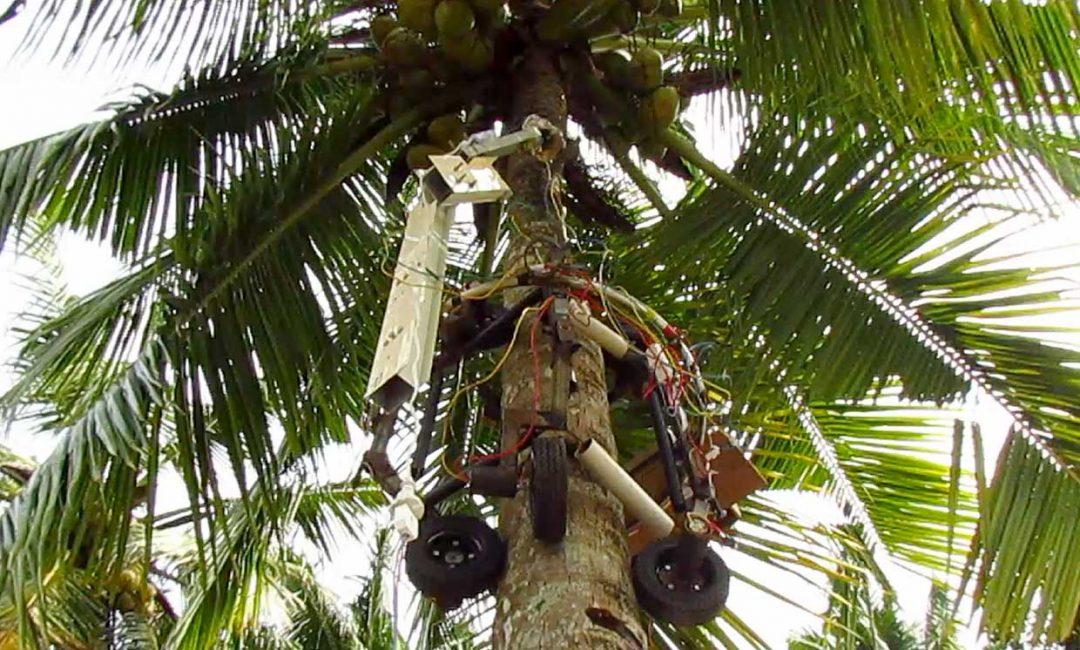 Робот для сбора кокосов