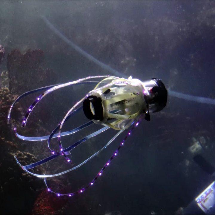 [Посмотрите] Робот-кальмар для исследования океана