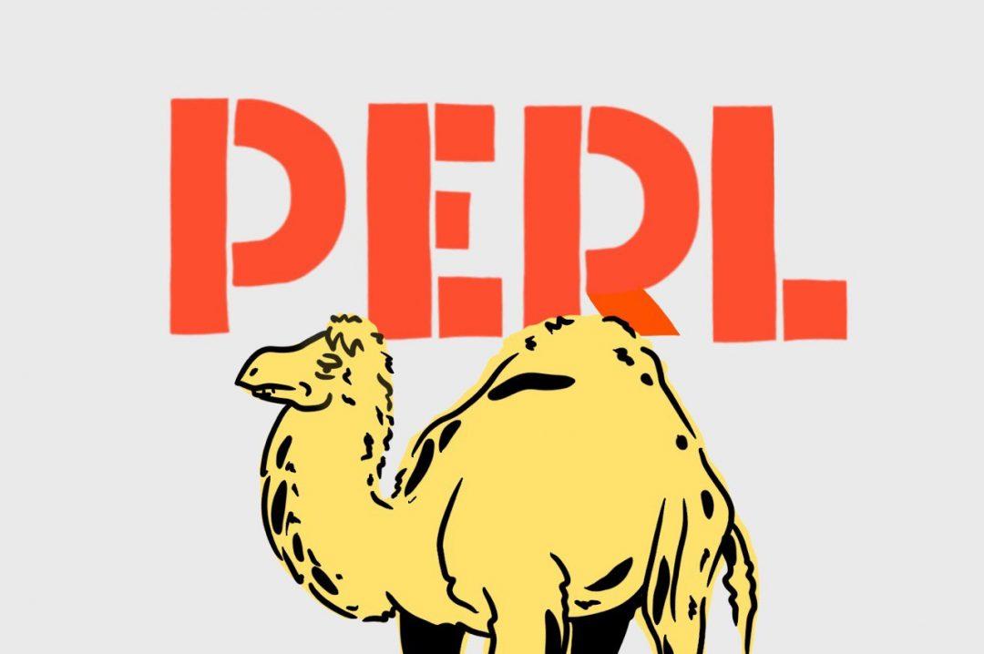 Perl — особенный язык программирования