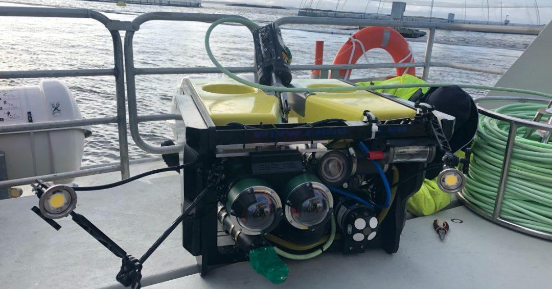 Посмотрите: автономный подводный робот для разведения рыб