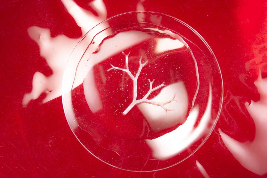 Учёные используют бактерии в качестве микро-3D-принтеров