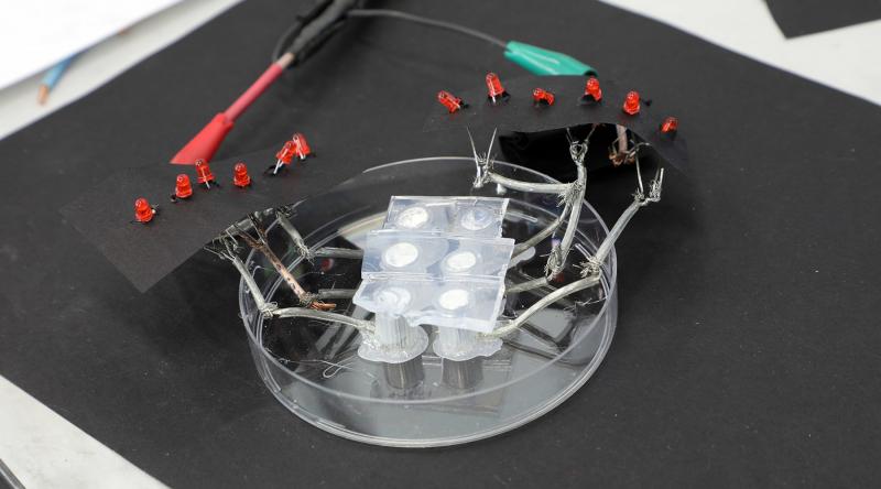 В России создали электронику для управления искусственными органами