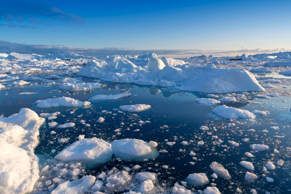 Обычной губкой можно очистить арктические воды от нефтепродуктов