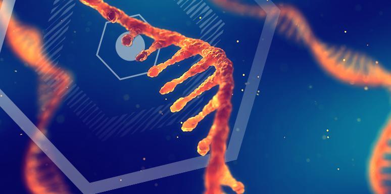 РНК паразитов помогут бороться с заболеваниями