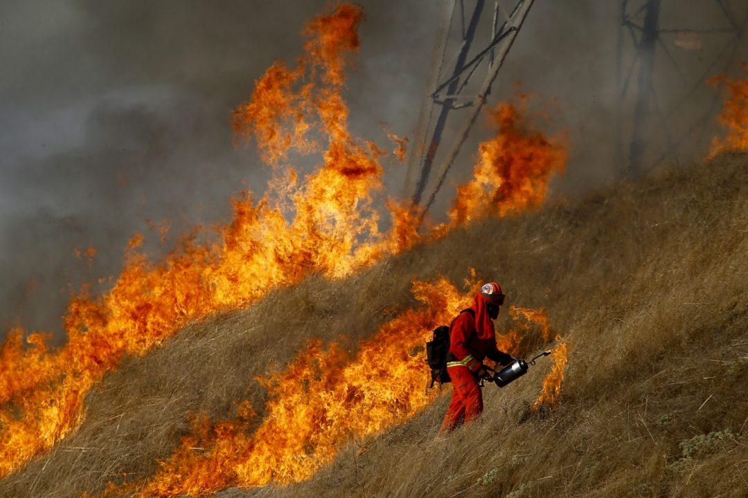 В Калифорнии «умные» камеры следят за лесными пожарами