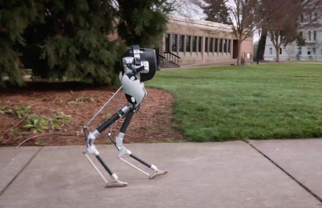 [Посмотрите] новый многофункциональный двуногий робот