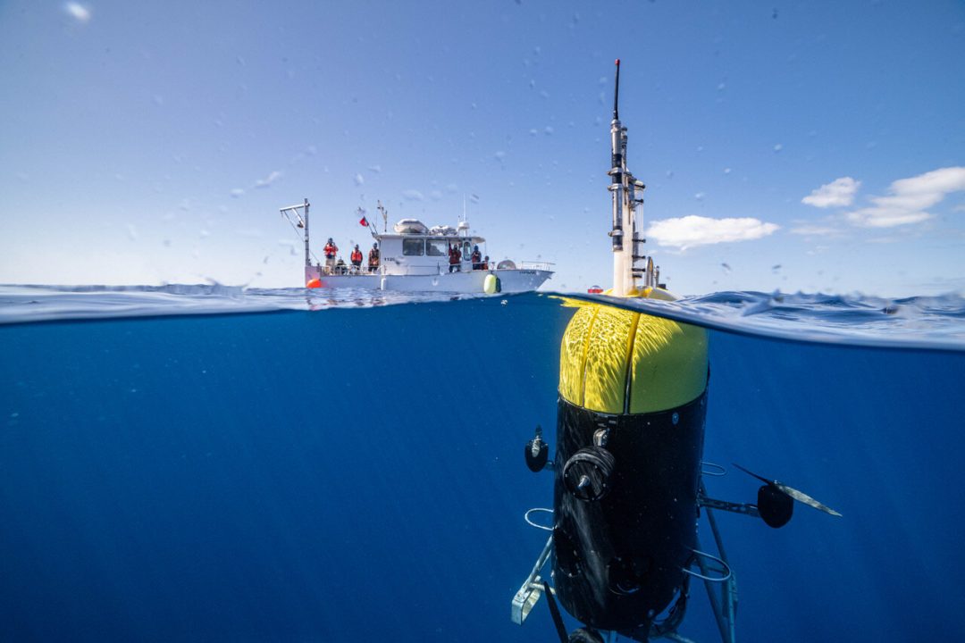 Посмотрите: подводный робот для изучения сумеречной зоны океана