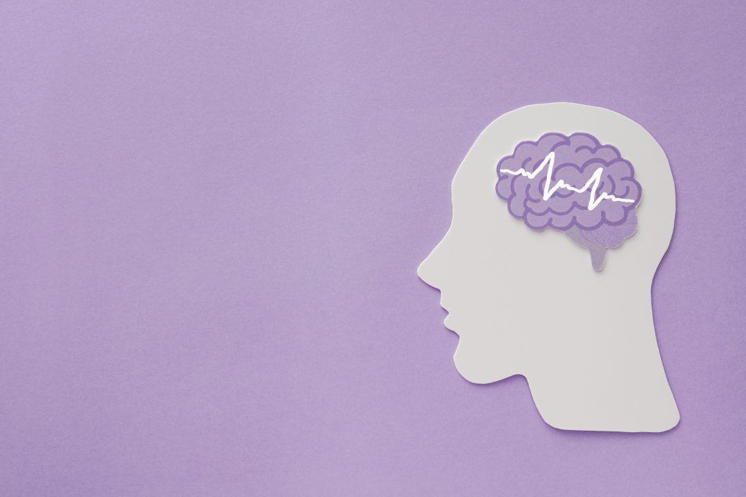 Новая нейросеть может расшифровывать данные мозга и предсказывать действия