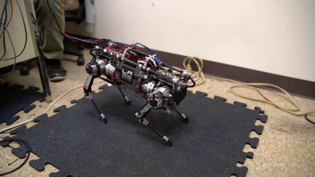 Посмотрите, как собирают и тестируют робота-пантеру