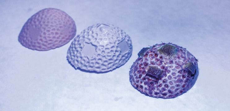 Придумали восстанавливать коралловые рифы с помощью 3D-печати