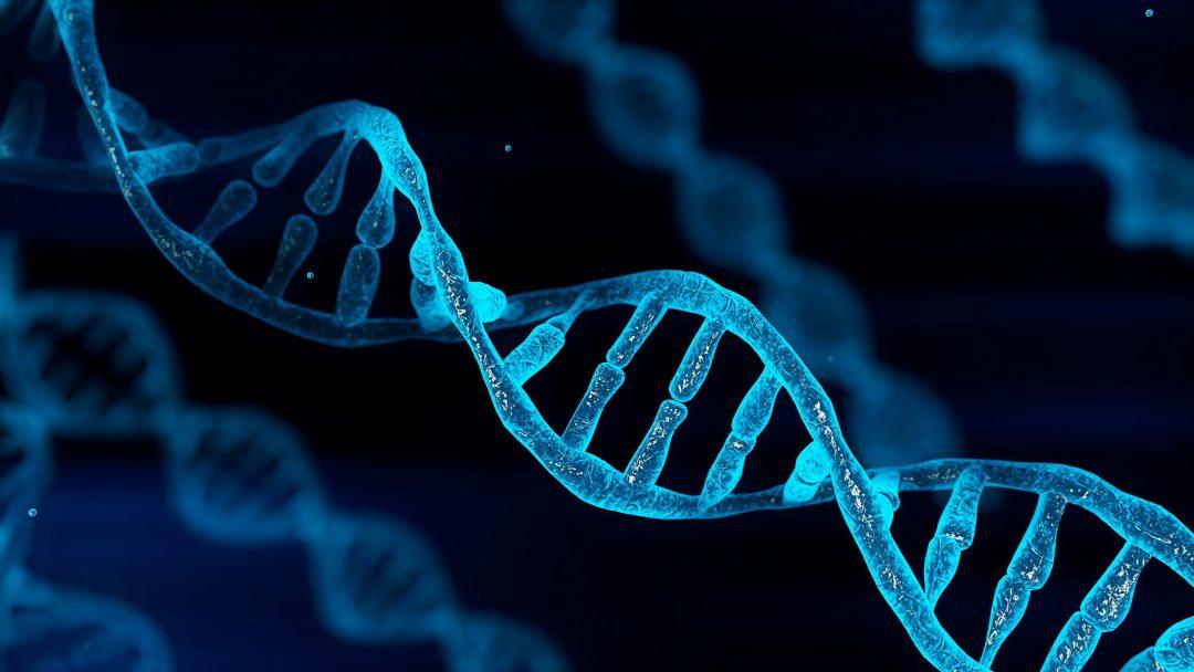 Электроника может самовосстанавливаться с помощью ДНК