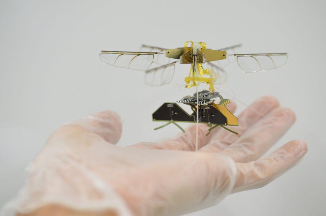 Сделали миниатюрный дрон, который летает без аккумулятора