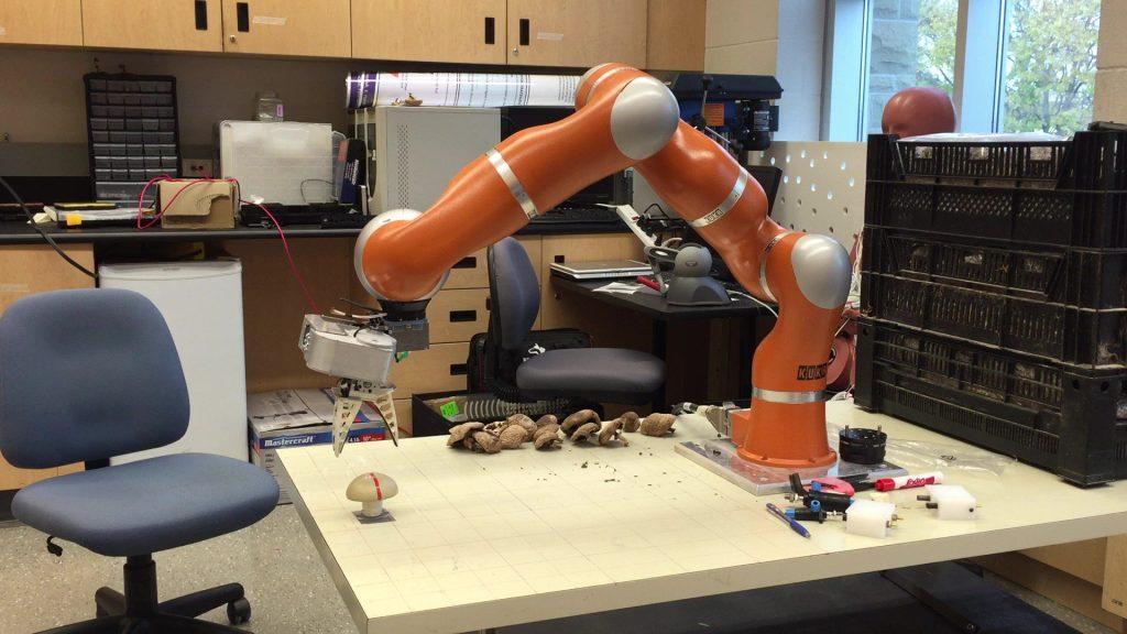 Фейкньюс: сделали робота, который собирает грибы лучше человека