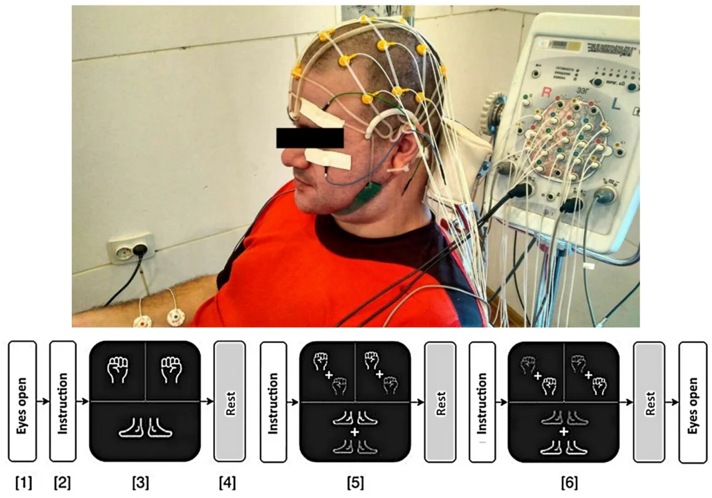 В России разработали новый метод расшифровки сигналов мозга человека