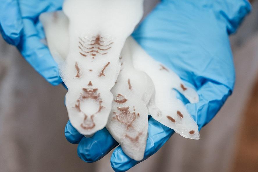 Разработали 3D-модели мышей, которыми можно заменить подопытных животных