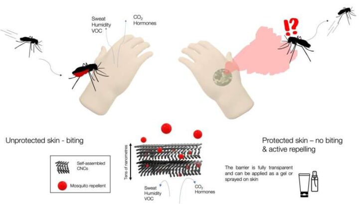 Изобрели защитное средство от комариных укусов на основе целлюлозы