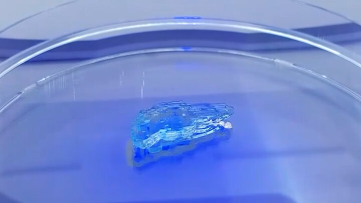 Российские учёные научились печатать на биобумаге человеческую кожу из живых клеток