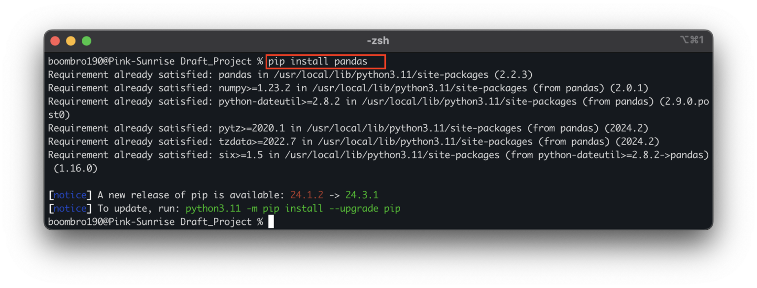  pandas python 