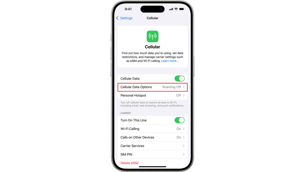 Как раздать интернет с iPhone