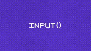 Функция input() в Python