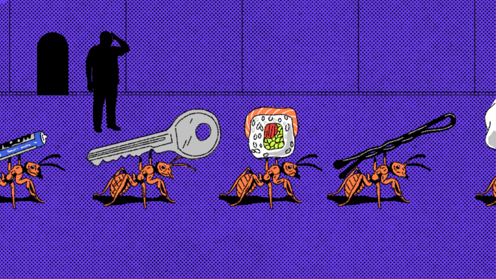 Множества (set) в Python