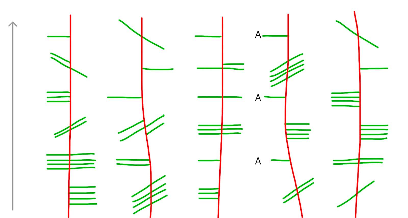 Новогодняя задача: сообщение, которое расшифруют не все