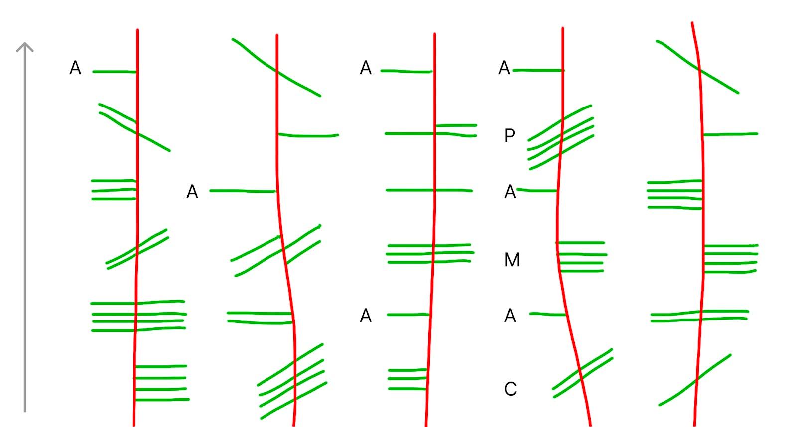 Новогодняя задача: сообщение, которое расшифруют не все