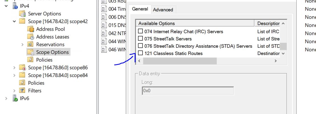 Меню настроек DHCP Option на Windows Server 2019