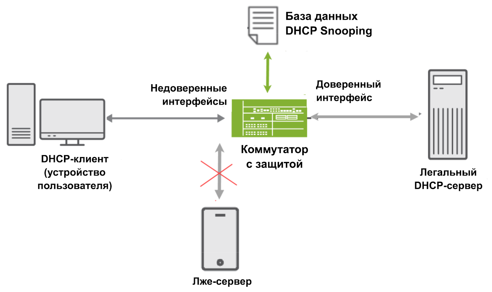 Как работает DHCP Snooping: порты пользователей и потенциальных атакующих помечаются как «недоверенные», что запрещает им выдавать IP-адреса в сеть