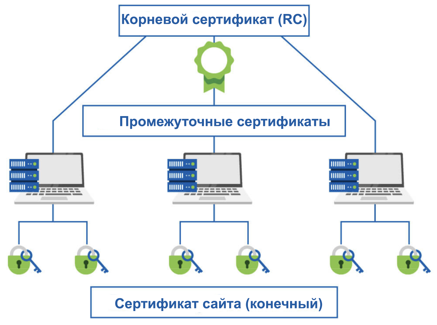 Иерархия сертификатов в TLS