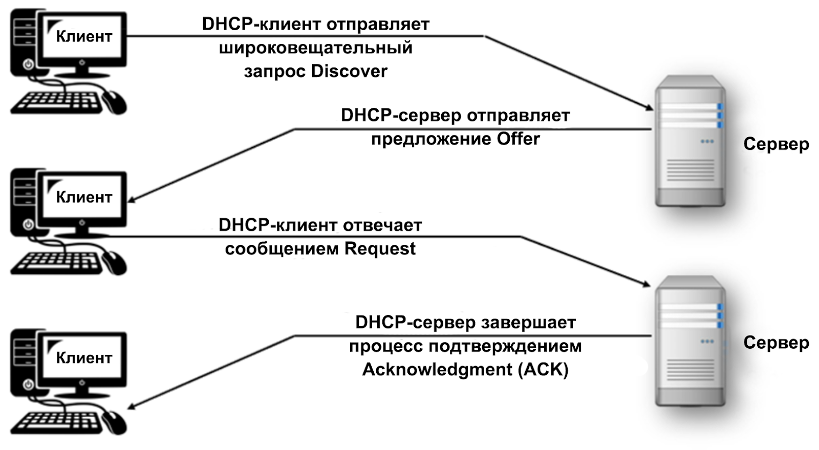 Пошаговая схема подключения: от поиска сервера (Discover) до финального подтверждения аренды (Acknowledgment)