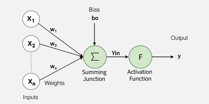 Размер модели