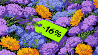 В Яндекс Практикуме скидка 16% на все курсы