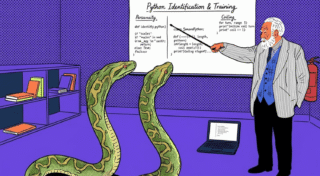 12 библиотек Python, которые стоит попробовать в 2026 году