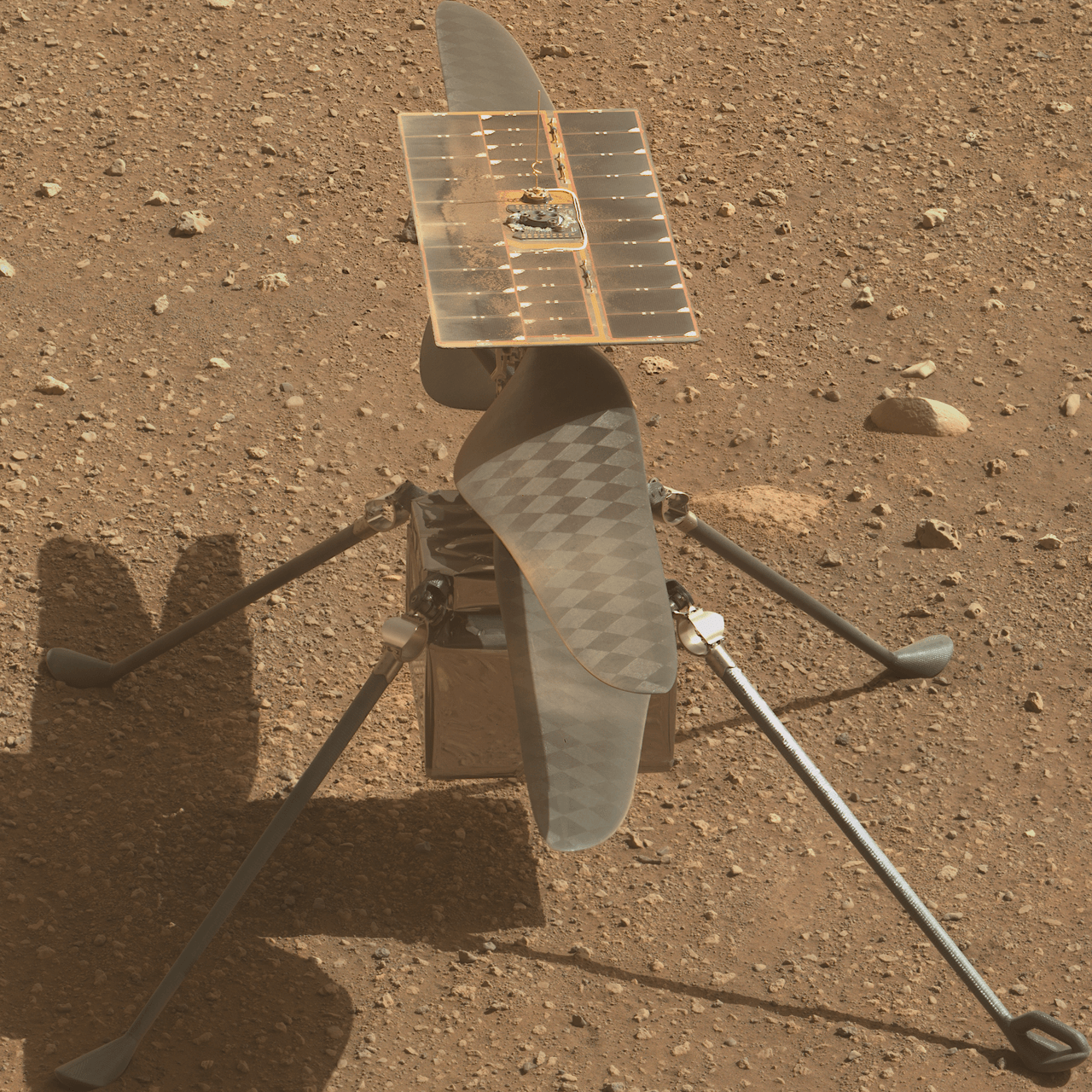 Ingenuity работает на Linux