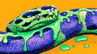 Популярный Python-пакет взломали и внедрили код для кражи ключей