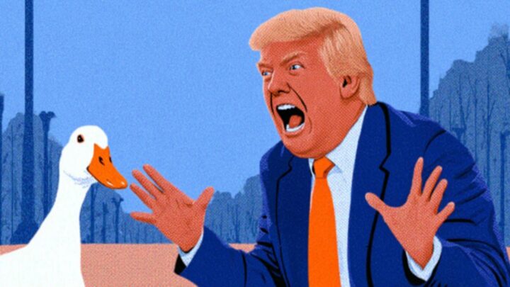 DuckDuckGo AI начал выдавать фейк о смерти Трампа от бешенства за случившийся факт
