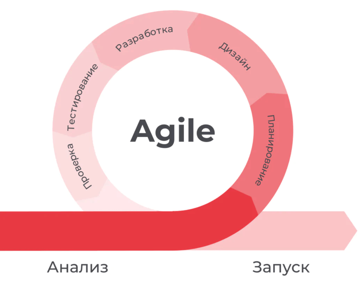 Agile и итерационные модели