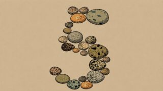 Представлен Claude Opus 5 — почти как Fable 5, но вдвое дешевле
